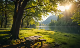 a picnic table sits in the shade of a tree