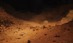 a group of stones and pebbles scattered on a dirt ground