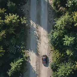 a car parked next to a road among the trees