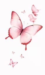 a picture of some pink butterflies on a white background