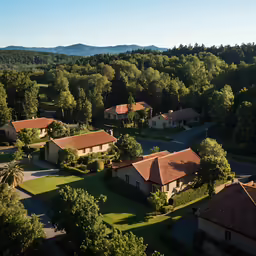 aerial view of small homes in a forested area