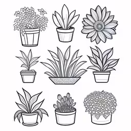 many potted plants are lined up on the wall,the drawing of different potted flowers is shown in black and white