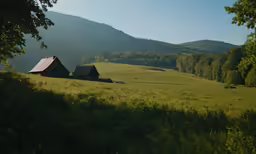 two cabins in the middle of a grassy field