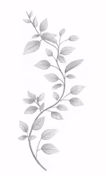 the branch has leaves and has a white background