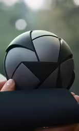 a person is holding a gray and black ball