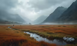 fog is rising in the mountains as the waters of a river merge