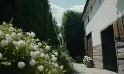a couple of bushes growing next to a doorway