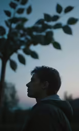 a man standing underneath a leafy tree in front of the sun