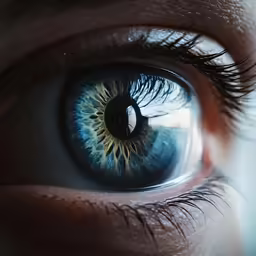 the iris of a persons blue eye