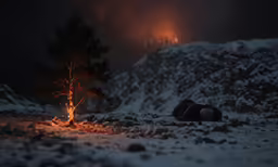 a night time photo of a single tree in the snow