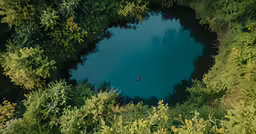 an aerial photo of some trees and a pond