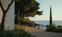 a sandy path leading to trees and the water