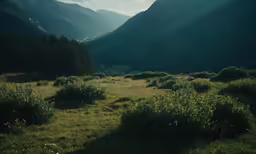 a grassy hill valley with trees and mountains in the background