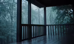 fog on the trees in the dark forest