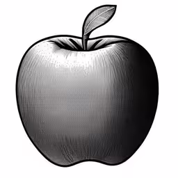 an apple with leaves on it is depicted in this black and white engraving,an apple is shown with a black and white background