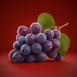 a group of grapes that have fallen out of the tree