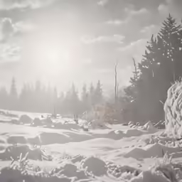 there is snow on the ground and the sun is shining