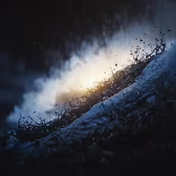 a night scene with the sun behind some branches