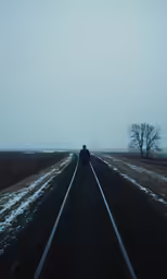 person walking on road with empty trees and snowy landscape