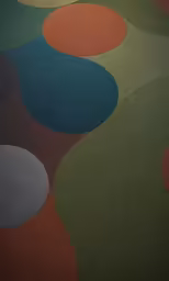a room has a carpet with multicolored circles on it