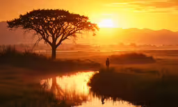 a sun setting over the mountains behind a lone tree and a man