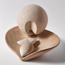several seashells sit in the shape of a heart