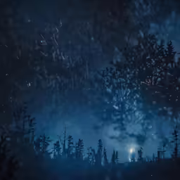 the night is over and there are trees silhouetted against a blue sky