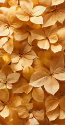 large leaves against the sun, with light coming through them