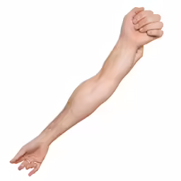 hand holding on to another arm with one fist raised