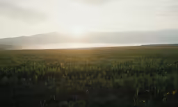 a field in front of mountains with a few clouds in the sky