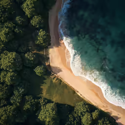 a sandy beach, blue waters and forest around