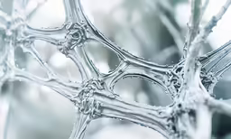frozen branches covered in droplets and snow on a cold day