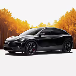 a black nissan concept car is pictured against a backdrop of trees