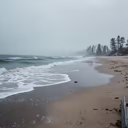 two surf boards in the sand near the water