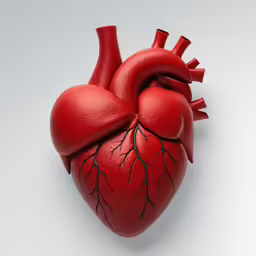 a heart with many branches attached to it