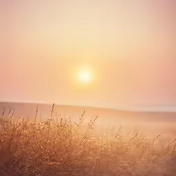 the sun is setting and some grass in the field