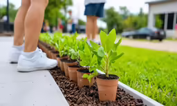 two people walking through small green plants on a sidewalk