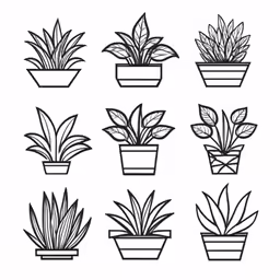 a collection of potted plants on a white background
