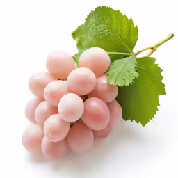 a bunch of grapes with green leaves laying around it