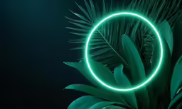 neon light ring against dark background