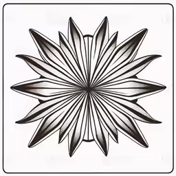 a large black and white circular star in a square