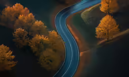 a long road is winding through the trees