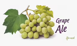 the grapes are hanging on the branch in this photo