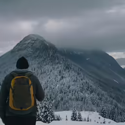 a person looking at the top of a mountain