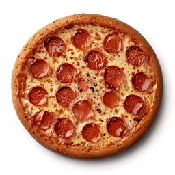 a pepperoni pizza is displayed on a white background