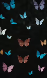 a group of multicolored butterflies floating in the air