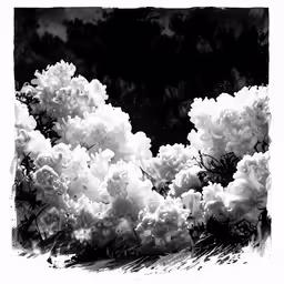 a photograph of a bunch of clouds in the sky