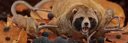 a bear that is laying down in the leaves