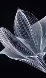 an abstract image of a long - tailed butterfly with bright, clear feathers