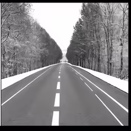 a straight road that has a bunch of trees along it